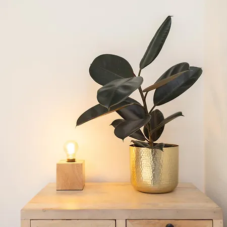 Valentina Apartment