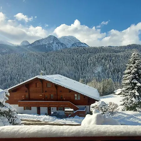 Apartmán Valentina Chateau-d'Oex