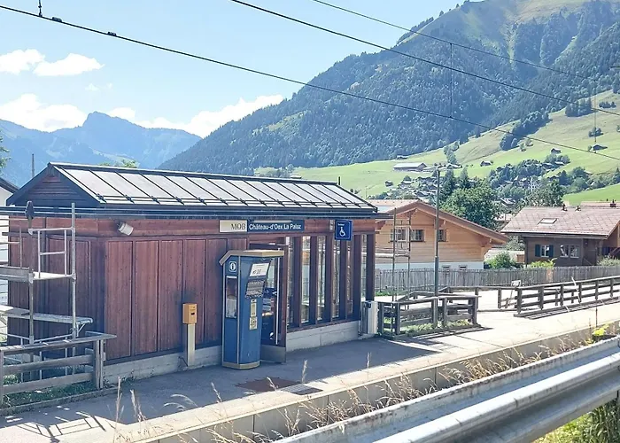 Lejlighed Valentina Château-d'Oex