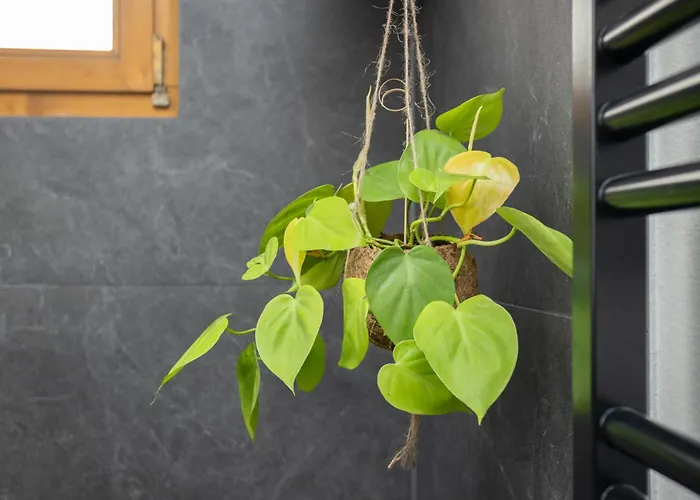 Appartement Valentina