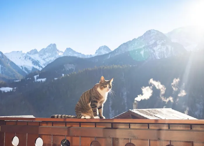 Valentina Appartement